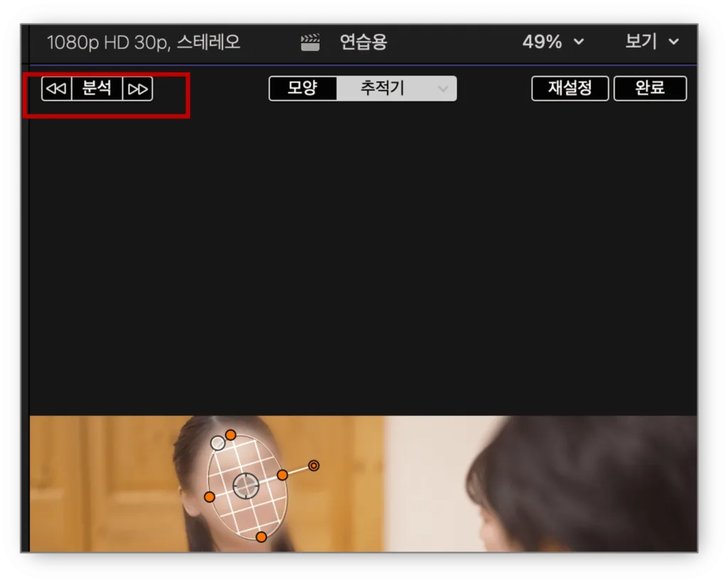 파이널컷-자동모자이크