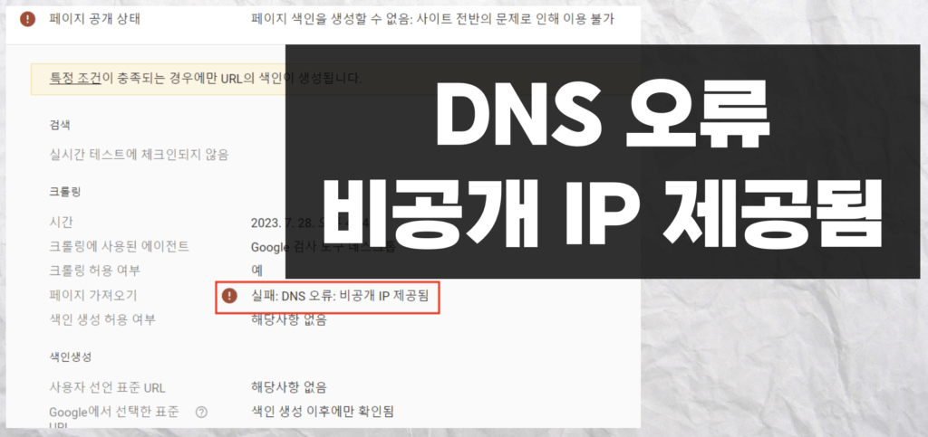 DNS-오류