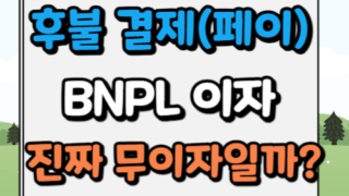 BNPL 이자