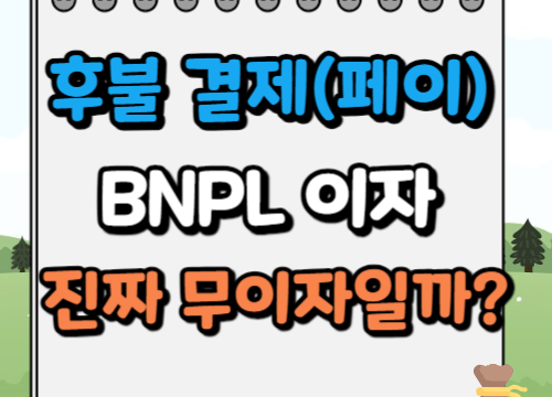 BNPL 이자