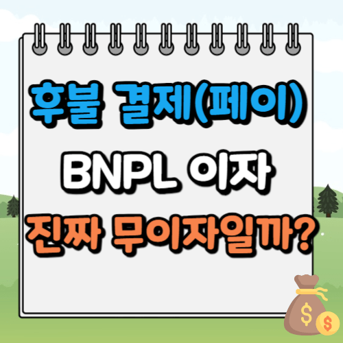 BNPL 이자