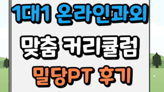 1대1 온라인 강의