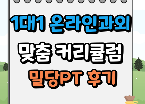 1대1 온라인 강의