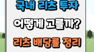 국내 리츠 투자