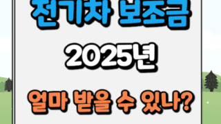 2025년 전기차 보조금