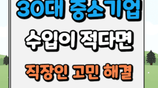 30대 직장인 수입