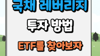 국채 레버리지 투자 방법