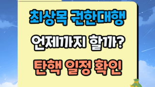 최상목 권한대행 체제